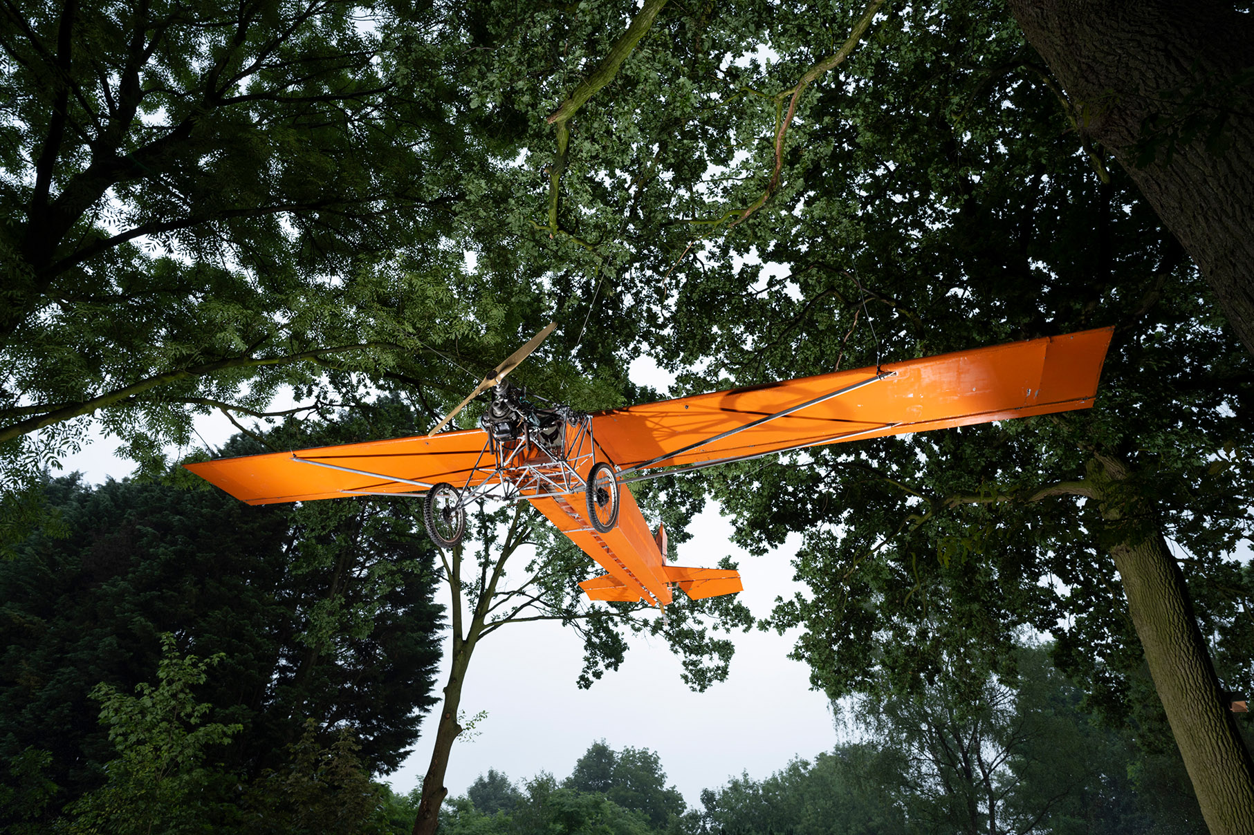 vliegtuig hangt tussen de bomen